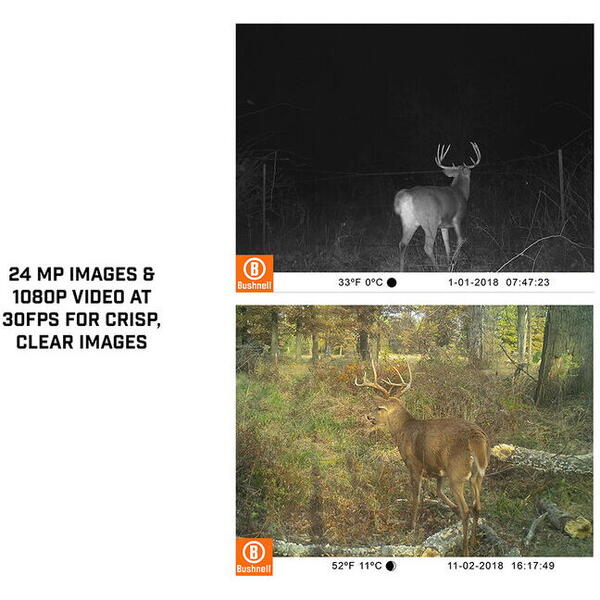bushnell-camera-video-bushnell-24mp-single-core-brown-no-glow-63935 CAMERA VIDEO BUSHNELL 24MP SINGLE CORE BROWN/NO GLOW